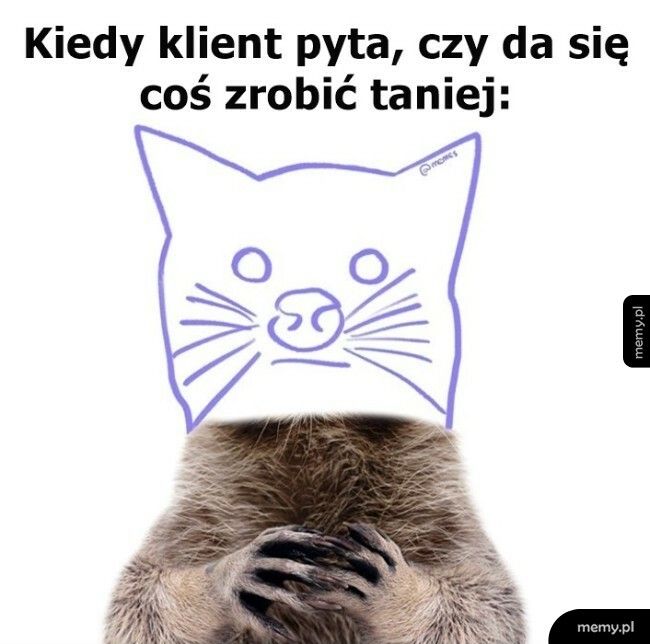 Kiedy klient pyta, czy da się coś zrobić taniej: zdjęcie szopa z głową dorysowaną na szybko kredką